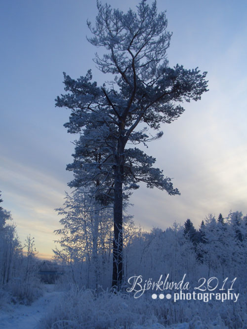 Weihnachtsmarkt auf dem Herrenhof Alsters Herrgård (Karlstad, Värmland)