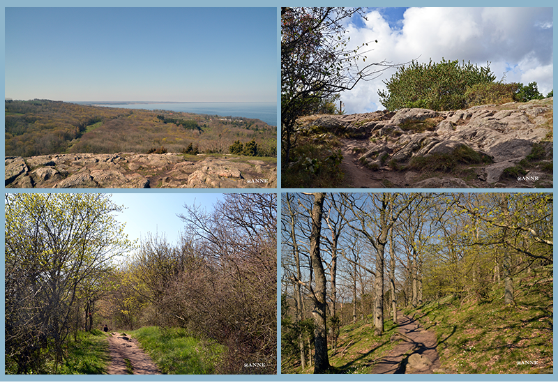 Stenshuvud Nationalpark (Skne)