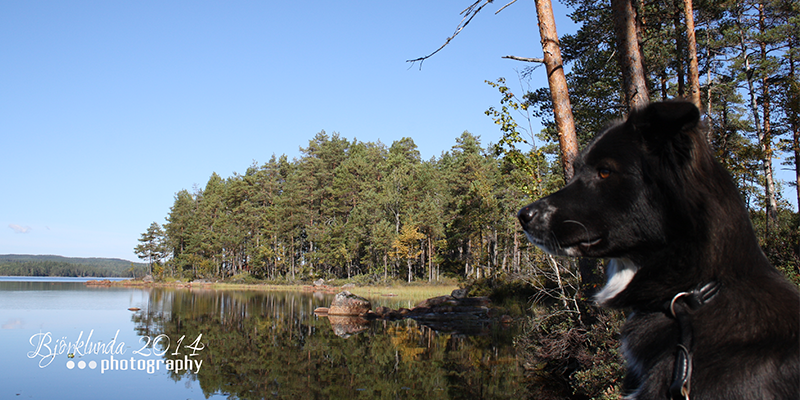 Herbst in Schweden