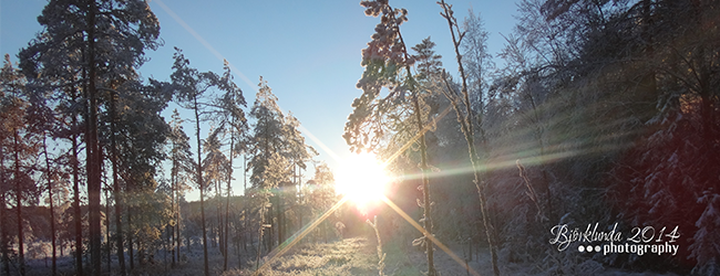 Winter in Schweden 