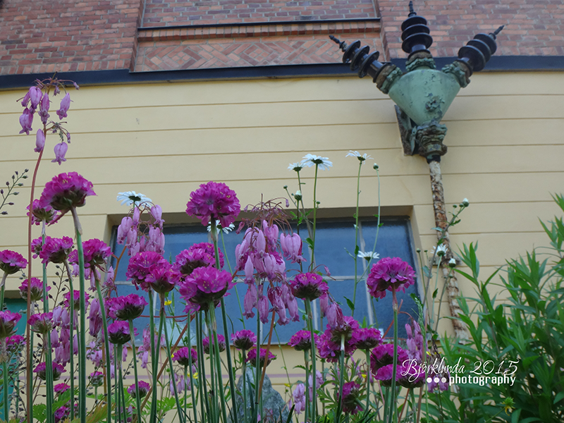 Kunst im Garten - Eigener Anbau