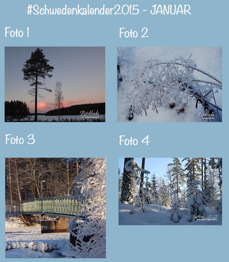 #Schwedenkalender2015 - Abstimmung Monat JANUAR