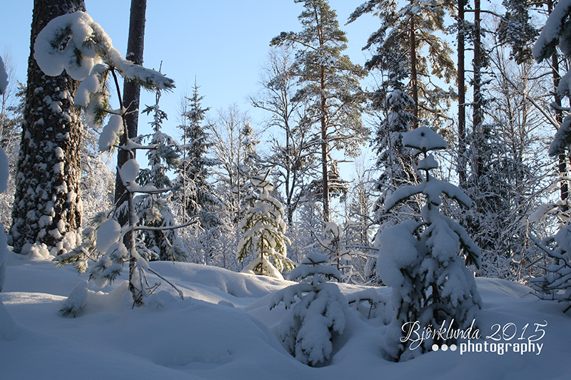 Schneeweie Winterlandschaft Schweden - #Schwedenkalender2015