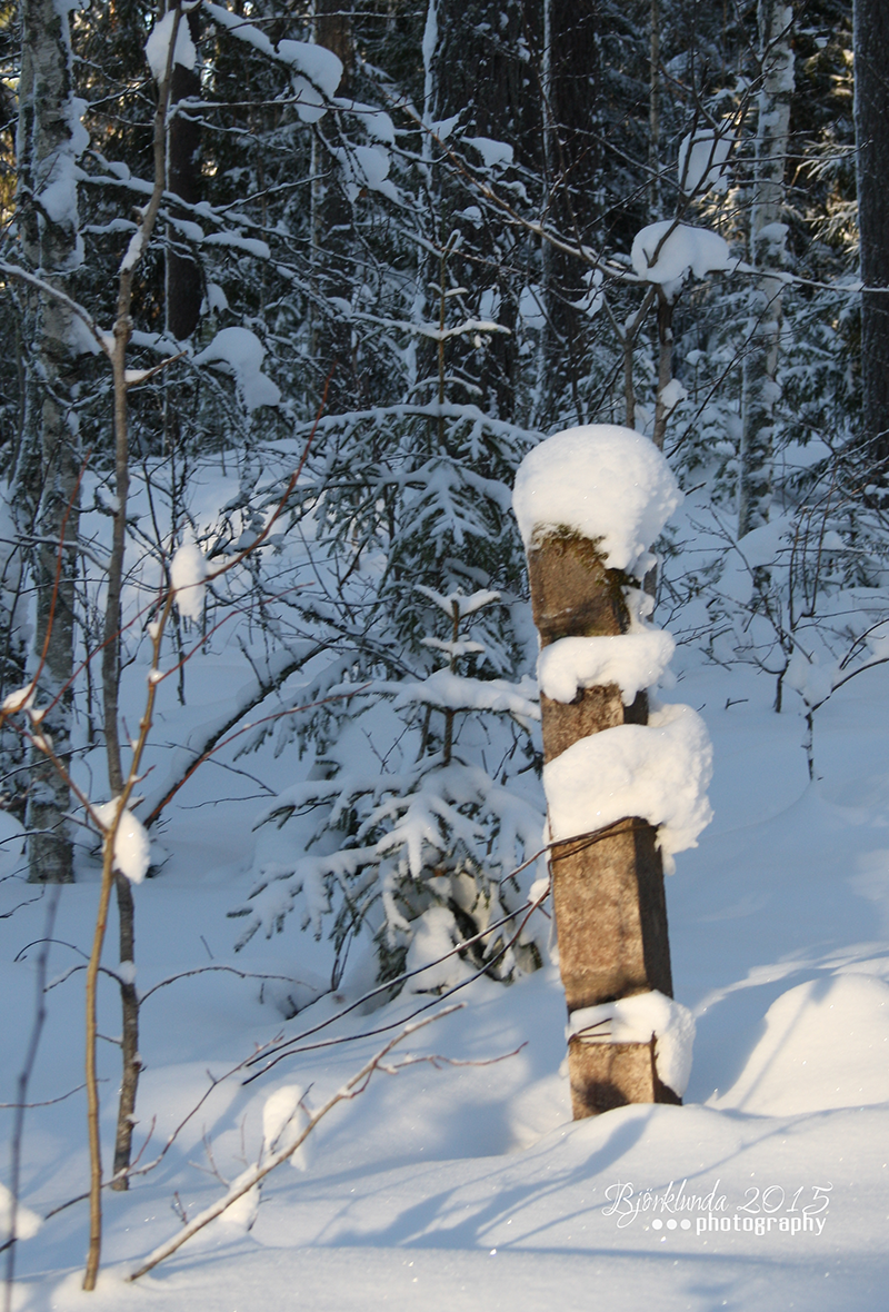 #Schwedenkalender2015 - Eine Reise durch die schwedischen Jahreszeiten (Woche7)