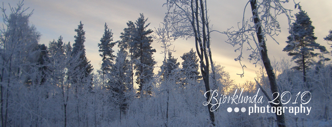 Endlich wieder da! - Der Schwedenblog startet ins neue Jahr.