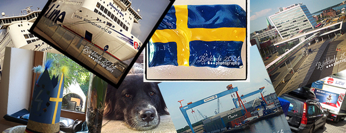 Eine Auswanderung in Bildern - Wie das Chaos seinen Lauf nahm