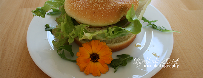 food Tipp - Essen im Naturum (Karlstad)