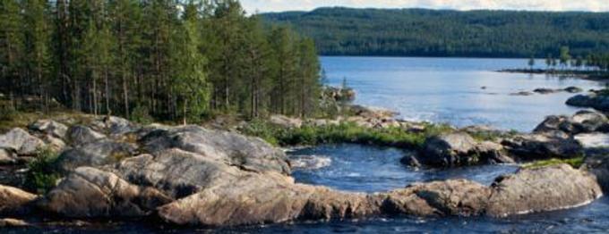 Road-Trip durch Schweden - Tipps für eine erholsame Autofahrt