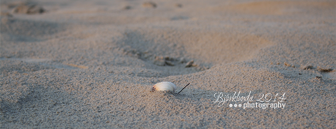 Kurze Auszeit genommen und nun in den Alltag gerutscht