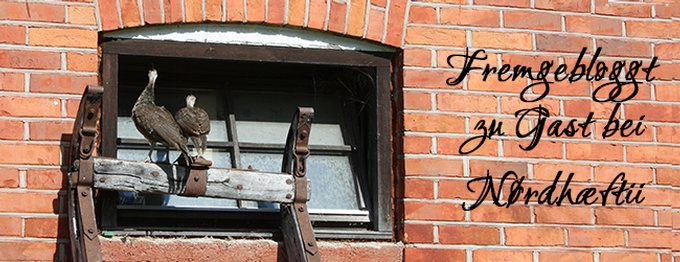 Nørds meets Nørds - Ein Interview