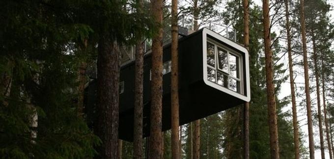 Treehotel - Das Baumhotel in Schweden