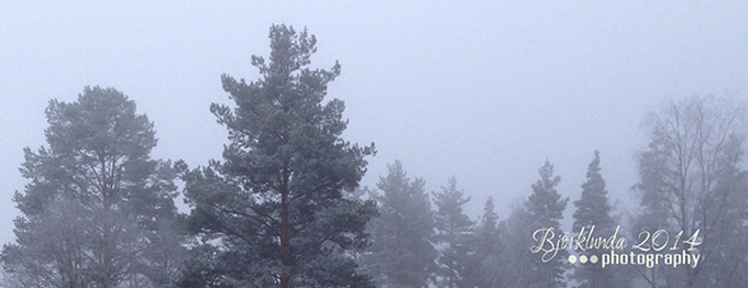 FJDI - #4 -Auf der Suche nach dem GRAU