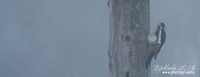 Ja wer schaut denn hier vorbei...?