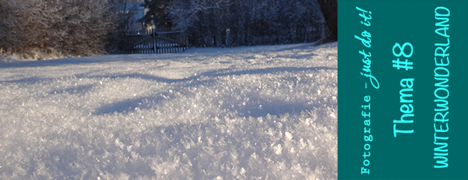 FJDI #8 - WINTERWONDERLAND