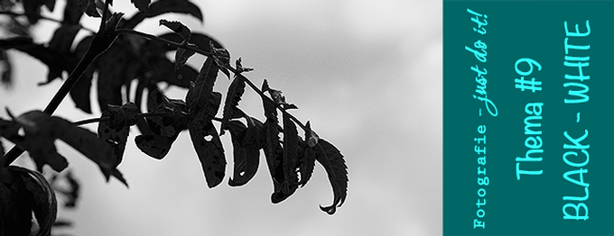 FJDI #9 - SCHWARZ-WEIß / BLACK-WHITE