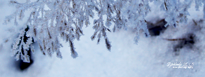 #Schwedenkalender2015 - Eine Reise durch die schwedischen Jahreszeiten