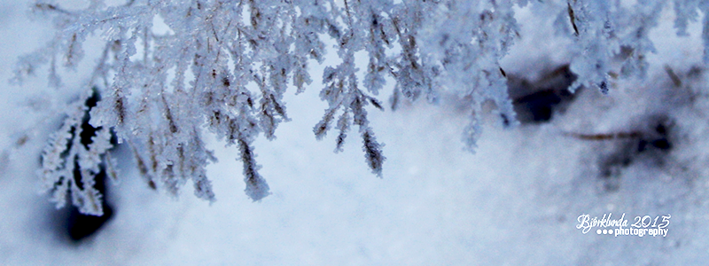 #Schwedenkalender2015 - Eine Reise durch die schwedischen Jahreszeiten