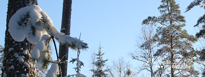 #Schwedenkalender2015 - Eine Reise durch die schwedischen Jahreszeiten (Woche5)