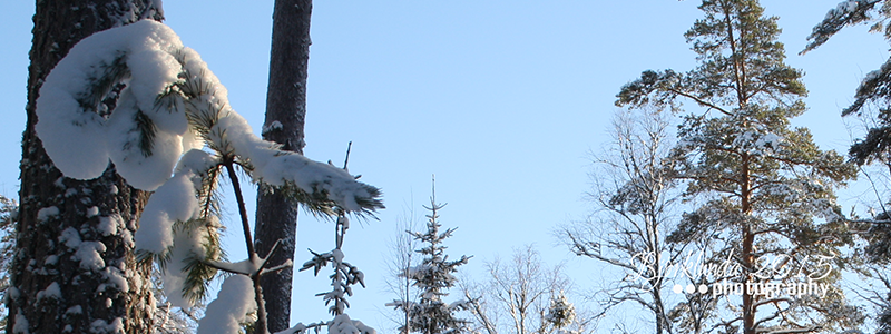 #Schwedenkalender2015 - Eine Reise durch die schwedischen Jahreszeiten (Woche5)