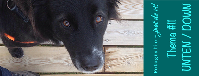 FJDI - #11 - Blick nach UNTEN / DOWN