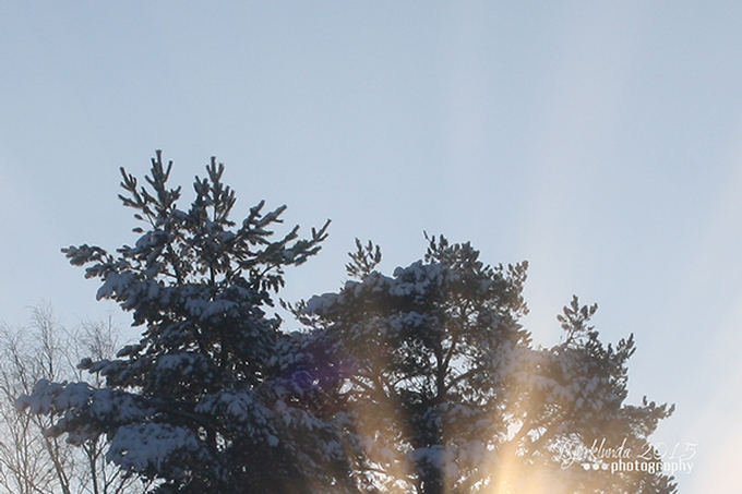 #Schwedenkalender2015 - Eine Reise durch die schwedischen Jahreszeiten (Woche6)