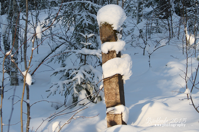 #Schwedenkalender2015 - Eine Reise durch die schwedischen Jahreszeiten (Woche7)