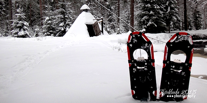 Wie der letzte Trapper durch den schwedischen Winterwald