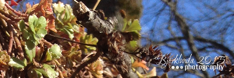 Aus EINS und EINS...