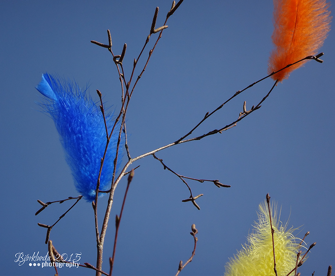 #Schwedenkalender2015 - Eine Reise durch die schwedischen Jahreszeiten (Woche 14)