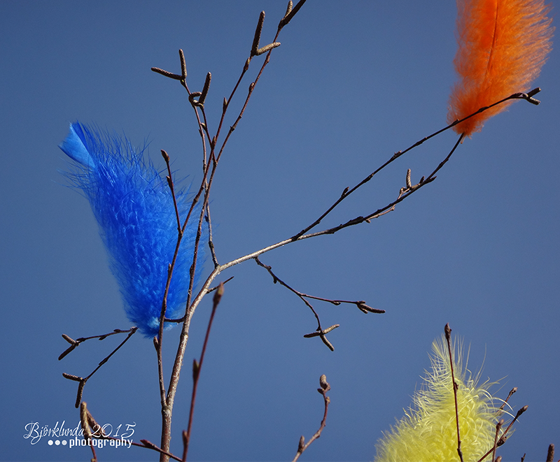 #Schwedenkalender2015 - Eine Reise durch die schwedischen Jahreszeiten (Woche 14)