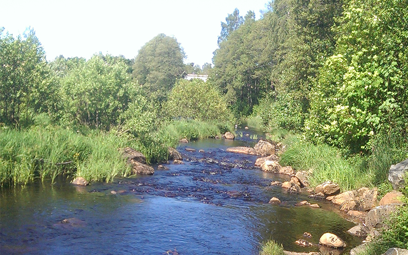 Dem Herzen gefolgt und der Sehnsucht nach... - Eine Auswanderung