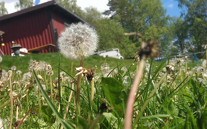 Dem Herzen gefolgt und der Sehnsucht nach... - Eine Auswanderung