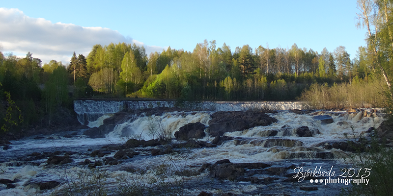 #Schwedenkalender2015 - Eine Reise durch die schwedischen Jahreszeiten (Woche 19 / 20)