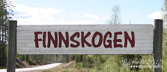 #Schwedenkalender2015 - Eine Reise durch die schwedischen Jahreszeiten (Woche 22+23)