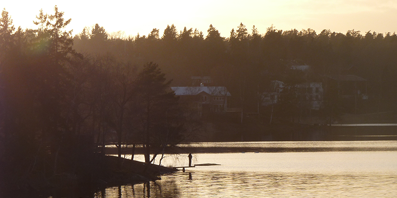 Wegen besserer Arbeitsaussichten nach Schweden ausgewandert - Ein Erfahrungsbericht von Miriam