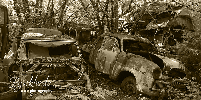 Dornröschenschlaf - Im Wald der vergessenen Autos