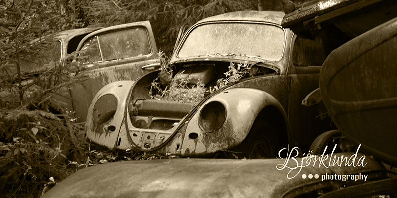 Dornröschenschlaf - Im Wald der vergessenen Autos