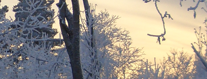 Schwedischer Weihnachtsmarkt in Brunskog (Värmland)