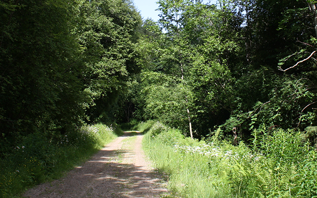 Nolhaga Park, Alingsås, Västra Götaland, Schweden, Nolhaga Tierpark, Nolhaga Schloss, Bäckerei Ruus, Kräutergarten