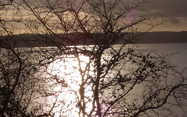 Alingsås, Västra Götaland, Schweden, Långared, Brobacka, Bruarängen