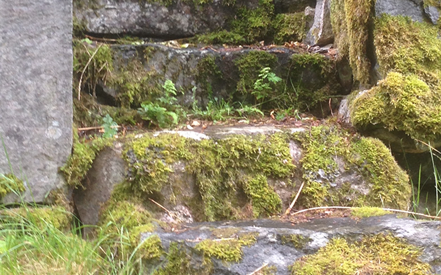Radfahren, Radtour, Radwanderung, Radweg, Schweden, Värmland, Naturreservat Glaskogen, Rad fahren, Arvika, Lennungshammer