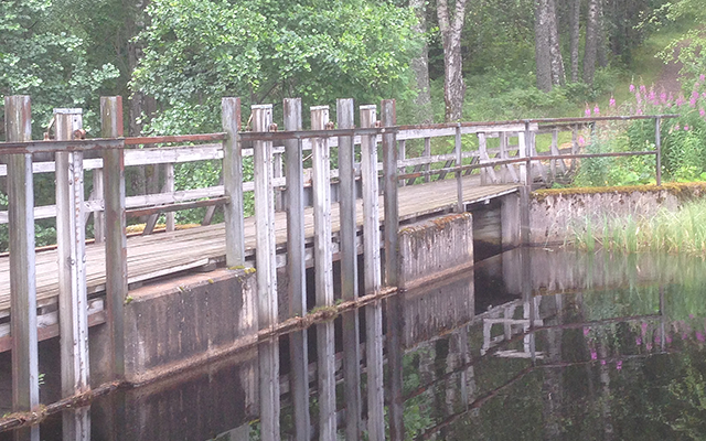 Kanu fahren, Glaskogen, Naturreservat, Schweden, Värmland, Arvika, Eda, Lennungshammer