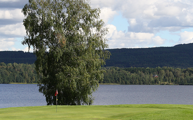 Golf, Schweden, Västra Götaland, Göteborg, Green, Fee, Golfplatz