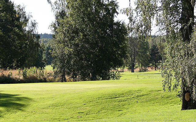 Golfplätze, Schweden, Värmland, Golf spielen, Karlstad, Arvika, Uddeholm, Hagfors, Hammerö, Deje
