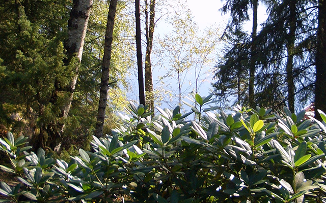 Borås, Västra Götaland, Schweden, Outlets, Shopping