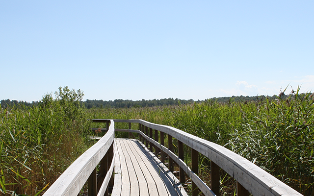 Schweden, Värmland, Karlstad, Naturum, Mariebergsskogen, Wandern, Hiking, Trekking, Ausflug