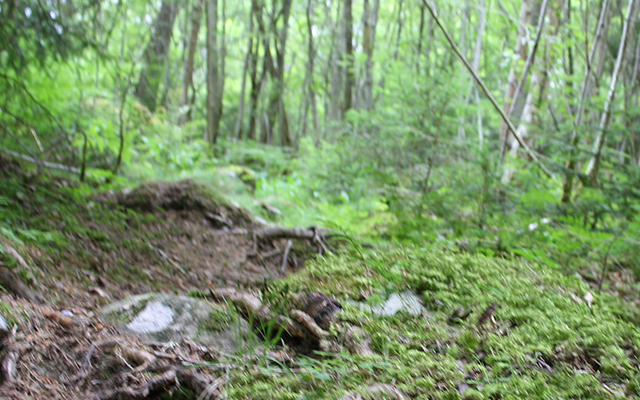 Munkfors, Värmland, Schweden, Wandern, Trekking, Wanderpfad, Familien, Kinder, Freizeit, Aktivität