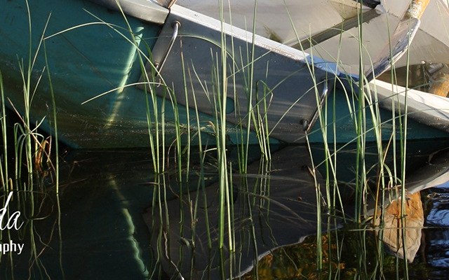 Jedermannsrecht, Allemansrätt, Schweden, Natur, Angeln, Jagen, Boot fahren, Baden