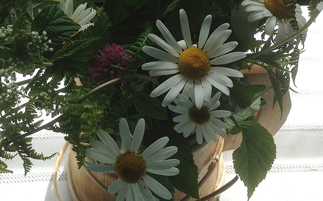 Schweden, Sprache, Vokabeln, Schwedisch, Radio, Sender, Radiosender, Sendung, Schwedenradio