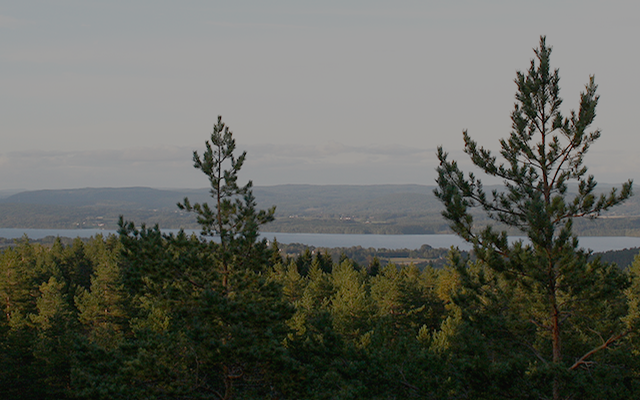 Schweden, Värmland, Elch, Wolf, Klarälv, Karlstad, Norwegen, Västra Götaland, Dalarna